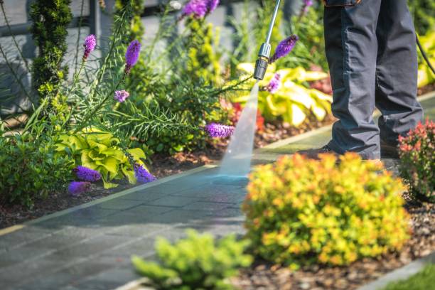 Best Gutter Cleaning  in Glassboro, NJ