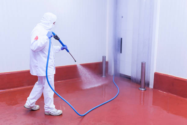 Best Building Exterior Washing  in Glassboro, NJ